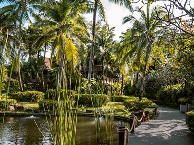 Weg neben Teich mit Palmen und tropischer Vegetation im Hotelgarten.