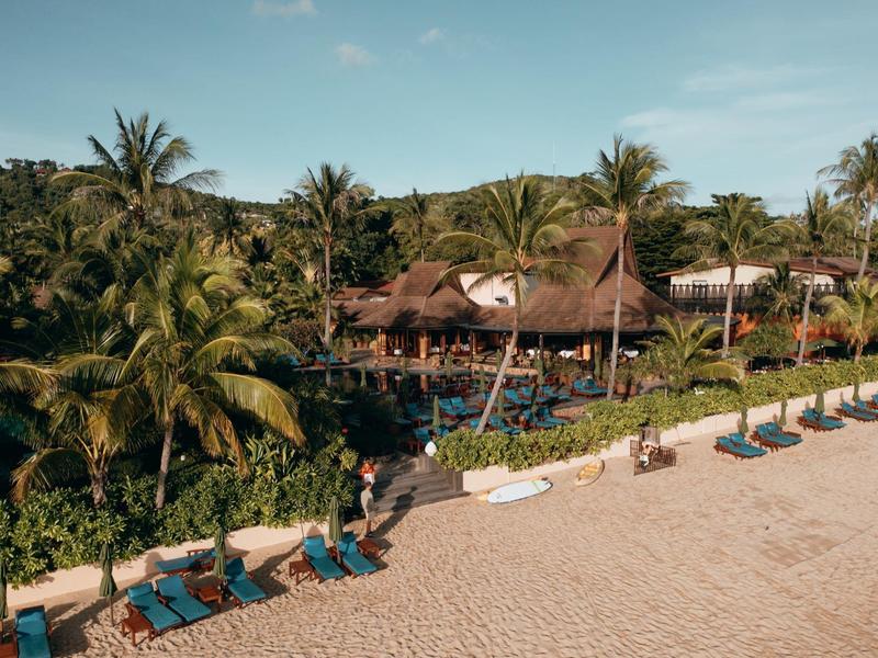 Un resort de playa con una fila de sillas de playa y plantas tropicales al fondo.
