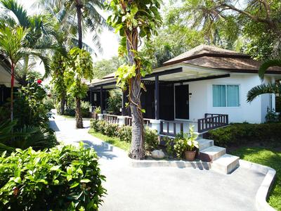 Bungalowy w tropikalnym ogrodzie z palmami i zielenią obok utwardzonej ścieżki.