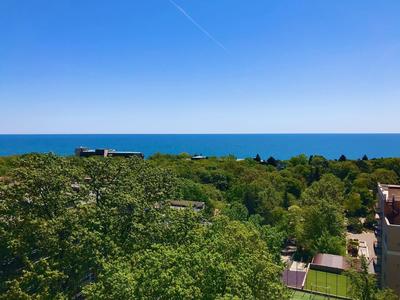Grüne Baumkronen vor blauem Meer und klarem Himmel an einem sonnigen Tag.