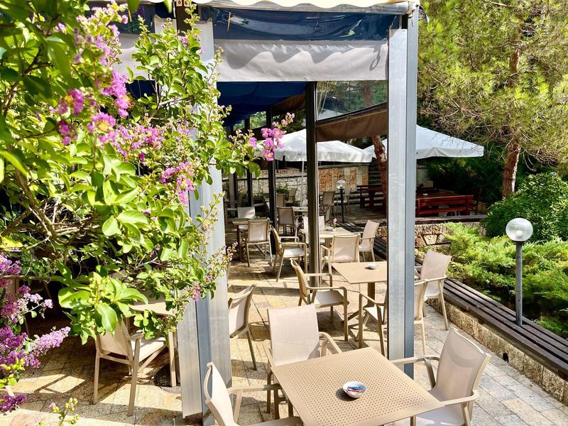 Außenbereich eines Cafés mit Tischen, Stühlen, grünen Pflanzen und blühenden Sträuchern.