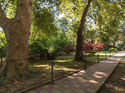 Parkanlage mit gepflastertem Weg, Bäumen und Geländer an einem sonnigen Tag