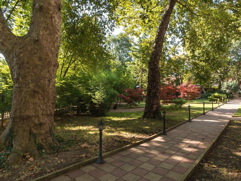 Area del parco con sentiero lastricato e grandi alberi in una giornata di sole