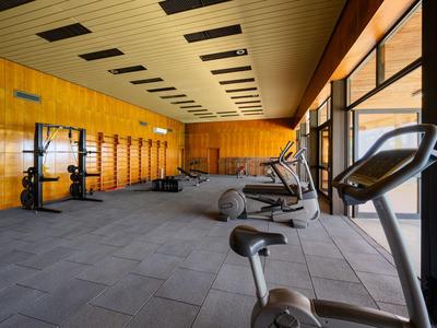 Moderner Fitnessraum mit Geräten und großen Fenstern, hellem Holz und grauem Boden.