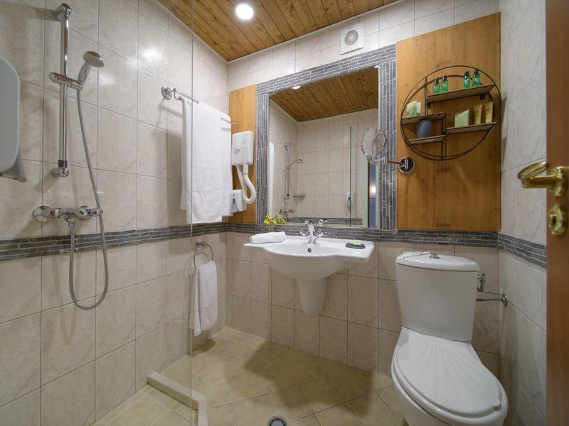 Bagno compatto con doccia, lavabo, toilette e soffitto in legno.