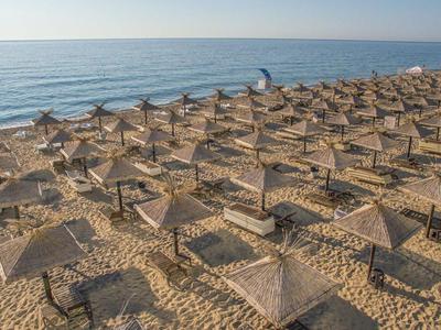 Fila di ombrelloni di paglia sulla spiaggia con vista sul mare in una giornata soleggiata.