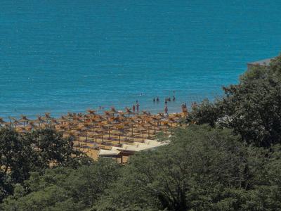 Blue ocean, sandy beach with sun loungers, surrounded by green trees.