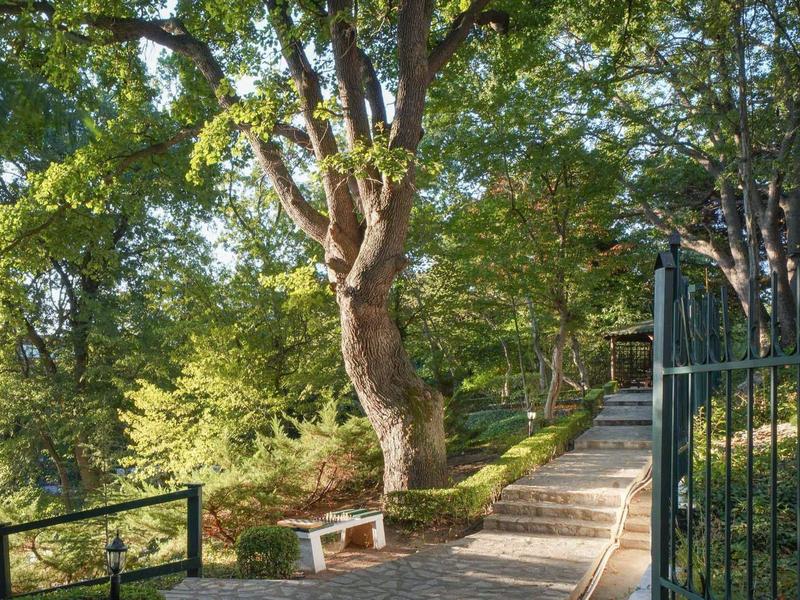 Chemin avec des marches et une rambarde entouré d'arbres et de verdure en plein air.