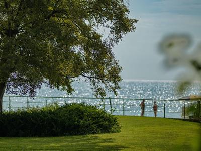 Pelouse verte avec un arbre et vue sur une mer scintillante sous un ciel partiellement nuageux.
