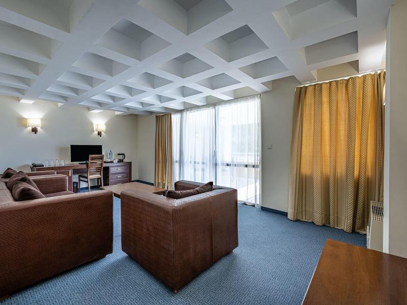 Modern woonkamer met bruine zitmeubels, tapijtvloer en grote ramen.