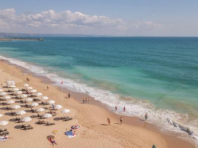Playa de arena con filas de sombrillas y personas descansando en el mar y la orilla.