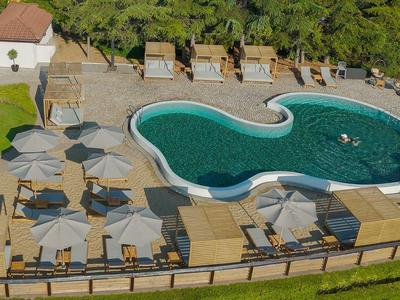 Piscina exterior de forma orgánica rodeada de tumbonas y sombrillas en un jardín de hotel.