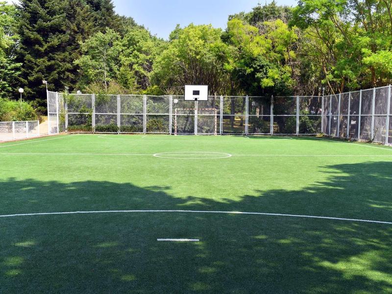 Empty sports court with basketball hoop, surrounded by trees and a metal fence.