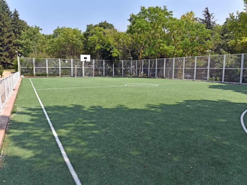 Outdoor sports field with green artificial turf and basketball hoop, surrounded by trees.