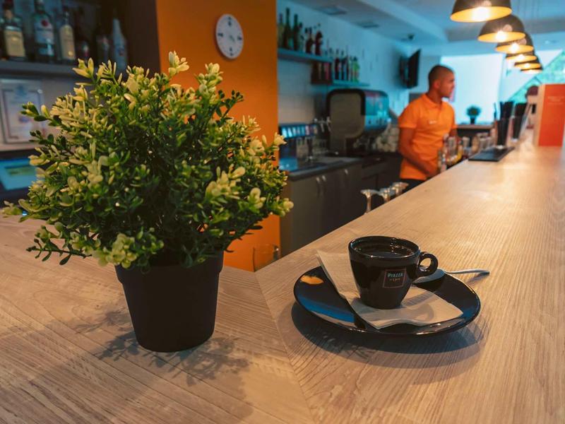 Modern hotel bar counter with potted plant and cup on wooden workspace.