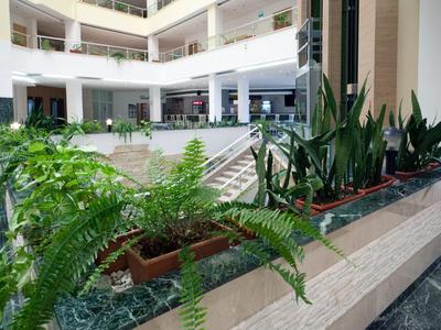 Dziedziniec z zielonymi roślinami i nowoczesnym designem w hotelu.