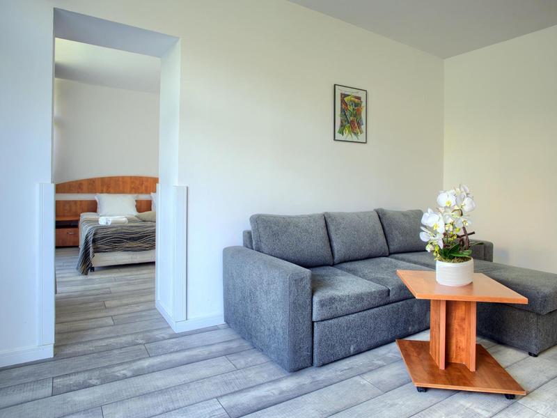 Petit salon avec canapé gris, table en bois et vue sur la chambre.