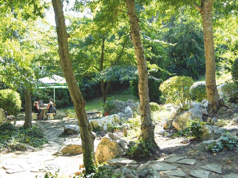 Een schaduwrijke tuin met bomen en een geplaveid pad naast een hotelgebouw.