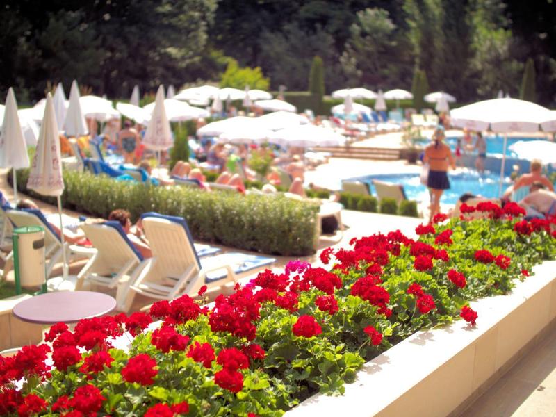 Hotelzwembad met ligstoelen, parasols en rode bloemen op de voorgrond