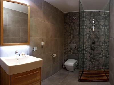 Modern bathroom with shower, sink, toilet, and wooden accents.