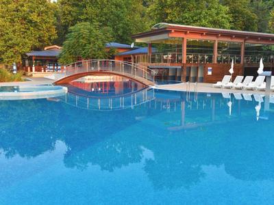 Velký venkovní bazén s mostkem, lehátky a krytým barem obklopený stromy.