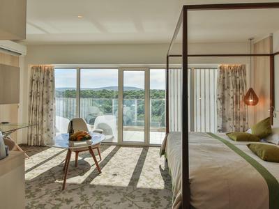 Jasny pokój hotelowy z łóżkiem baldachimowym i widokiem na jezioro przez duże okna.