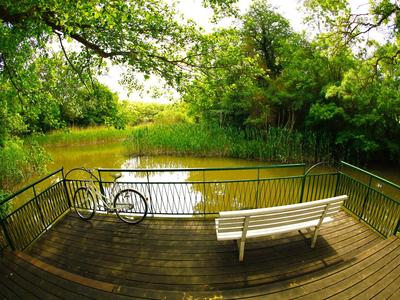 Terrasse en bois avec banc et vélo surplombant un étang calme entouré d'arbres