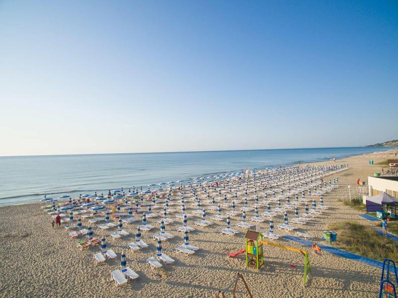 Plage avec rangées de parasols et chaises longues au bord de la mer calme sous un ciel clair.