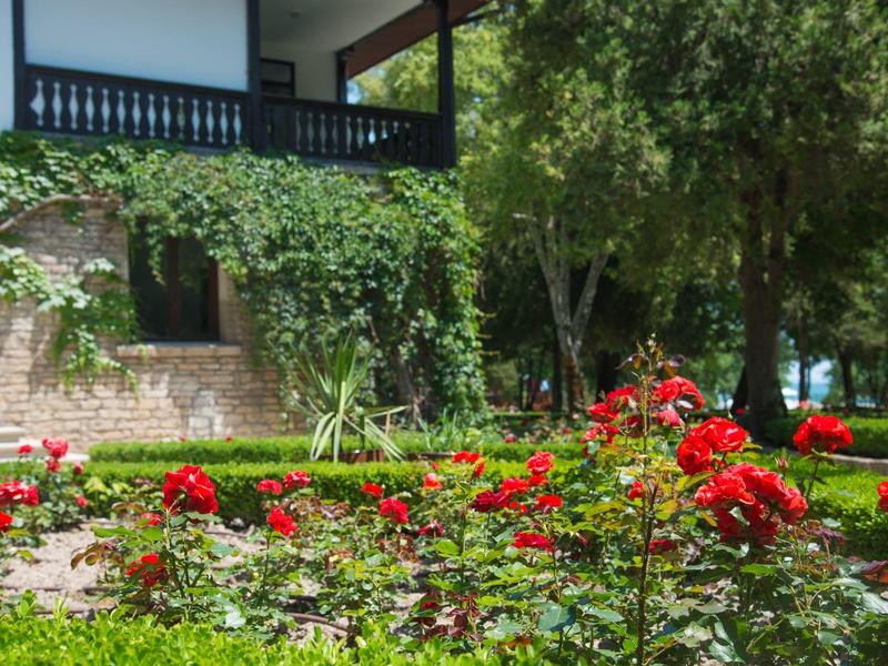 Garten mit roten Blumen vor einem Haus mit Veranda und Bäumen