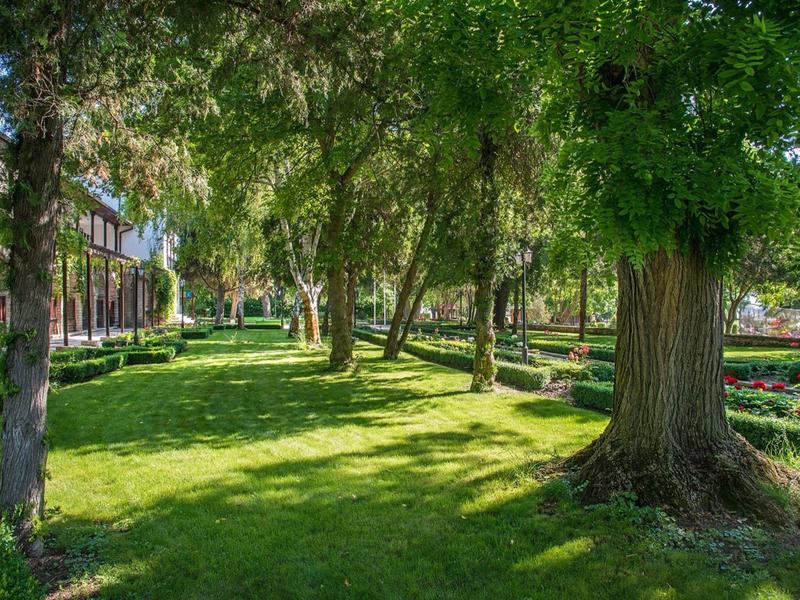 Grüner Garten mit großen Bäumen und Schatten in einer Hotelanlage