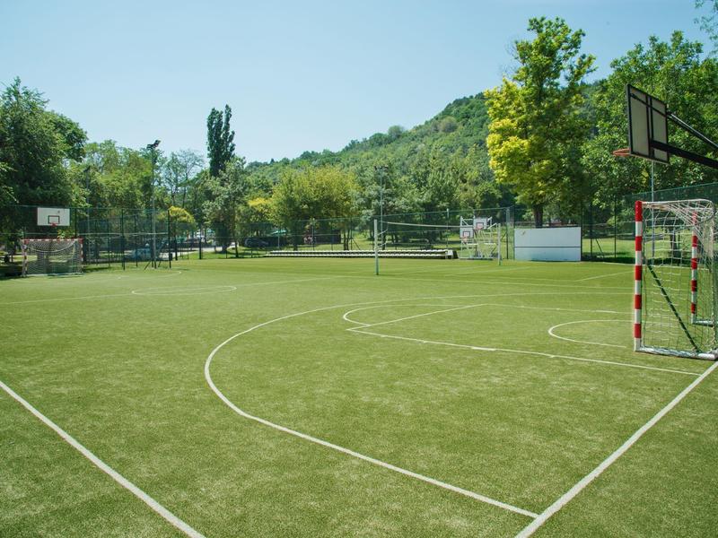 Grüner Fußballplatz im Freien mit Tor, umgeben von Bäumen und leicht bewölktem Himmel.