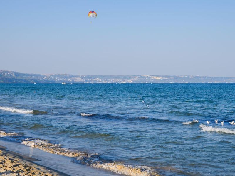 Strand mit Sand, ruhigem blauen Wasser und Vögeln am Ufer bei klarem Himmel
