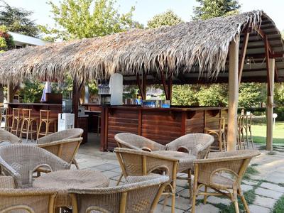 Bar al aire libre con techo de paja y muebles de mimbre en un área de jardín.