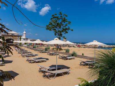 Playa vacía con tumbonas y sombrillas bajo un cielo azul en un destino turístico.