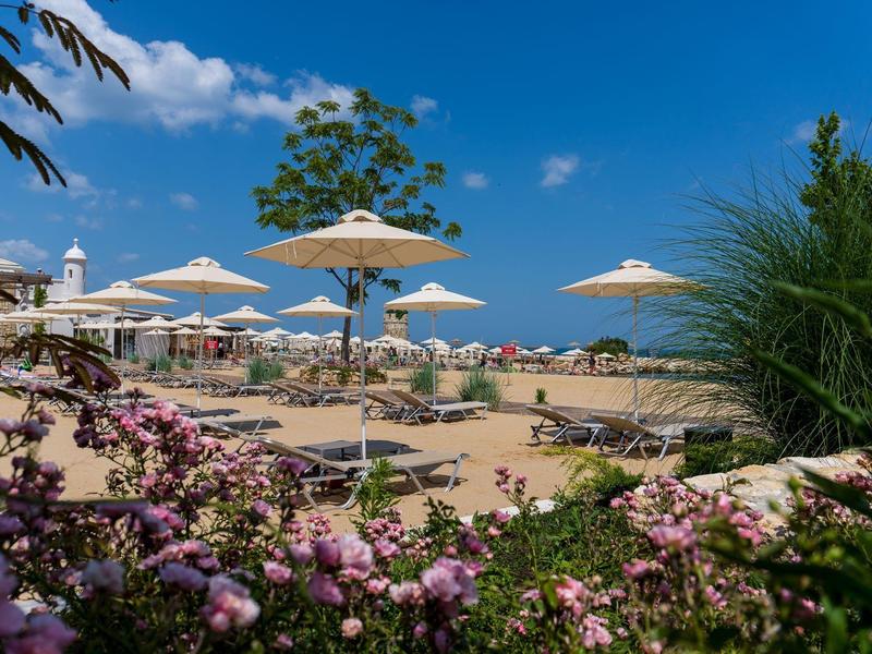 Playa con sombrillas, tumbonas y plantas florecientes bajo un cielo azul.