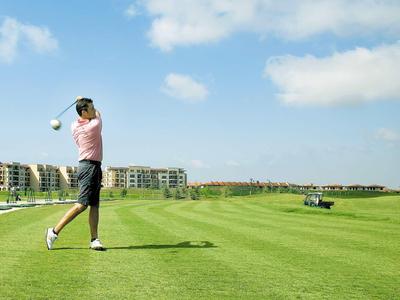 Man playing golf on a green course with blue sky and buildings in the background.