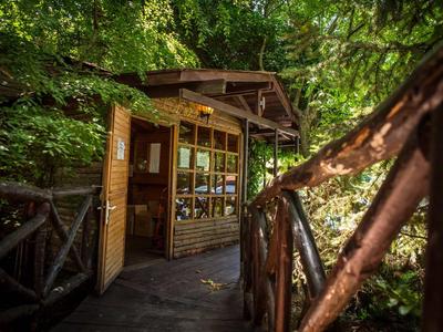 Ein kleiner Holzkiosk mit offenen Türen in einem grünen, bewaldeten Bereich neben einem Holzgeländer.