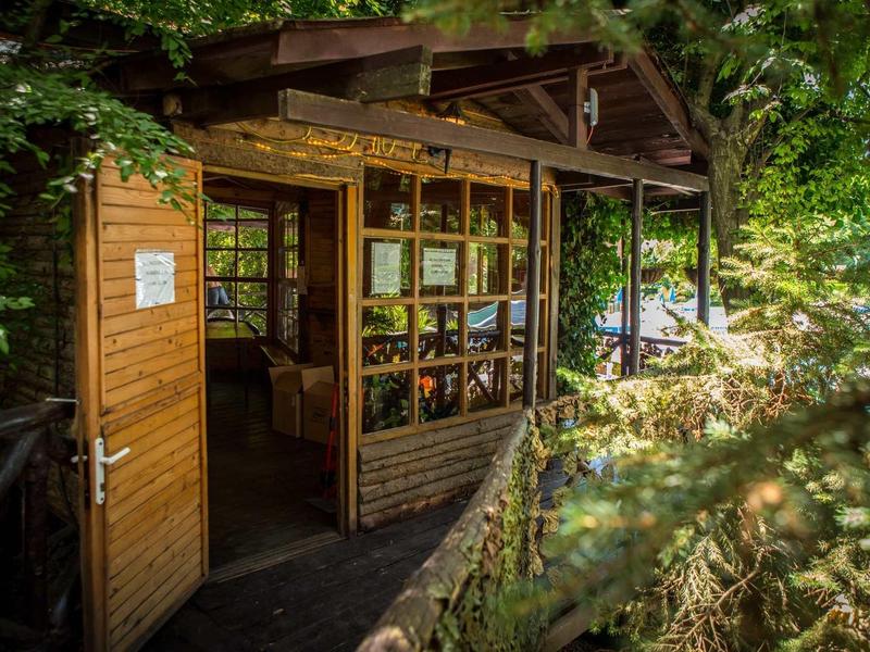 Kleine Holzhütte im Wald mit offenem Eingang und Glasfenstern, umgeben von grünen Bäumen.