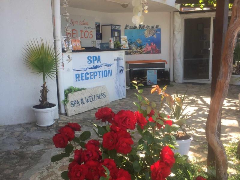 Rote Blumen vor weißem Gebäude mit Schild "SPA RECEPTION" unter grünem Blätterdach.