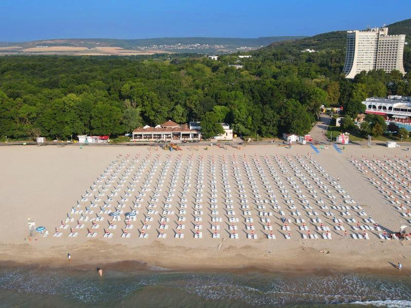 Szeroka piaszczysta plaża z ustawionymi białymi parasolami i lasem w tle.