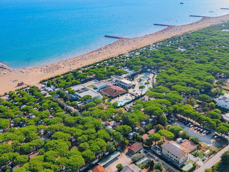 Luftaufnahme einer bewaldeten Küstenregion mit Strand und blauer Meereslinie am Horizont.