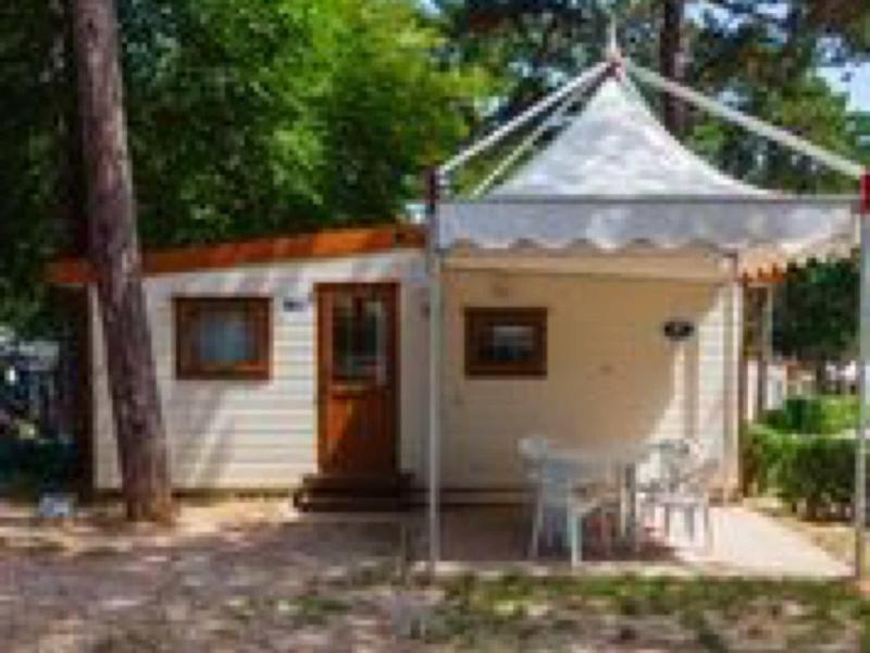 Kleines Holzhaus mit Vorzelt, weißen Stühlen und Tisch, umgeben von Bäumen.