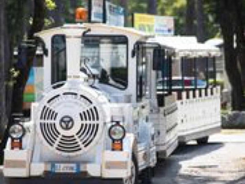 Kleiner weißer Touristen-Zug mit Anhänger fährt auf einer von Bäumen gesäumten Straße.