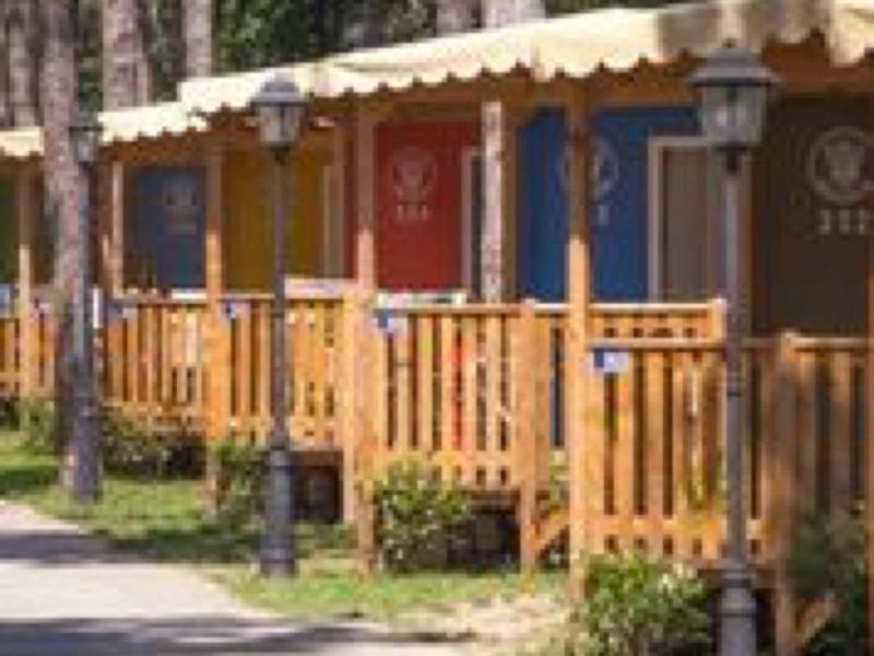 Bunte Holzhäuser mit Veranda entlang eines Waldwegs, von Laternen beleuchtet.