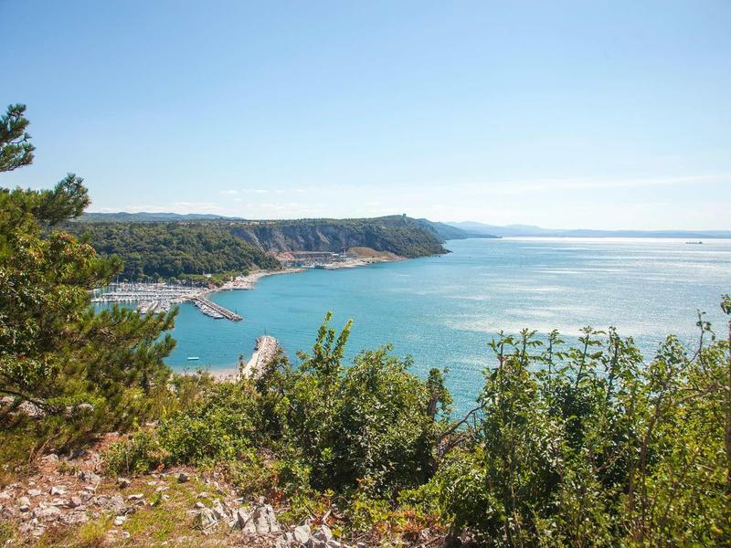 Klarer blauer Himmel über grünen Bäumen und einer ruhigen Bucht mit felsiger Küste.