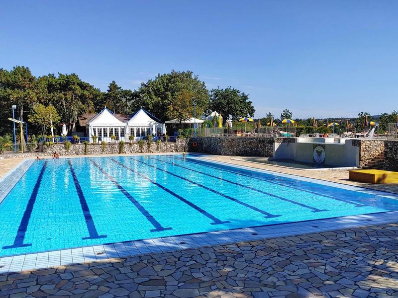 Großes Freibadbecken mit klarem blauen Wasser, umgeben von Steinfliesen und Bäumen im Hintergrund.