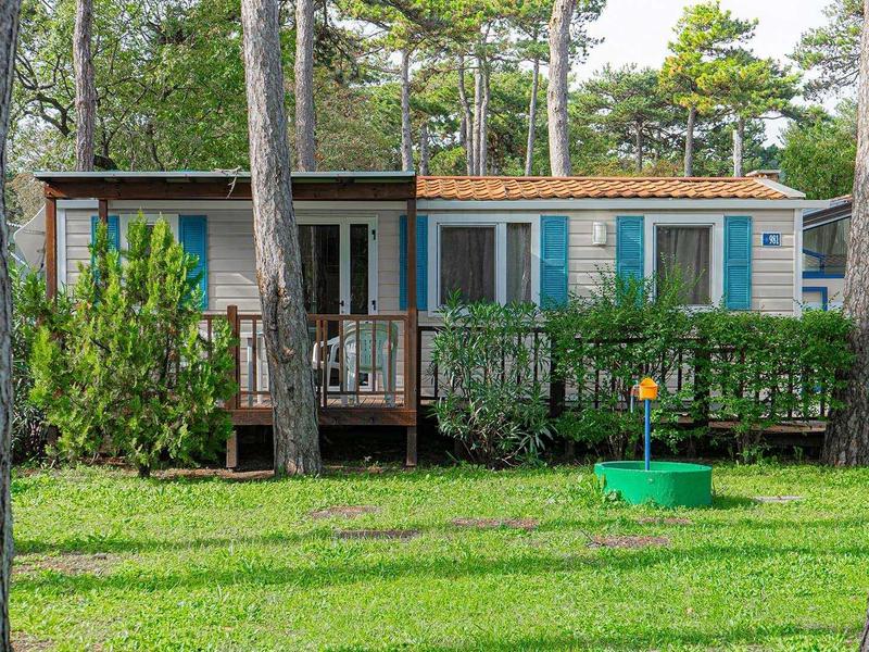 Holzhaus mit Veranda in bewaldeter grüner Wiese, umgeben von hohen Kiefern und Sträuchern.