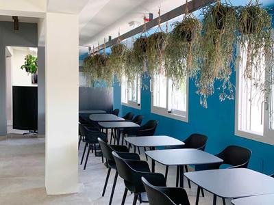 Salle à manger moderne avec murs bleus, tables blanches, chaises noires et plantes suspendues au-dessus.
