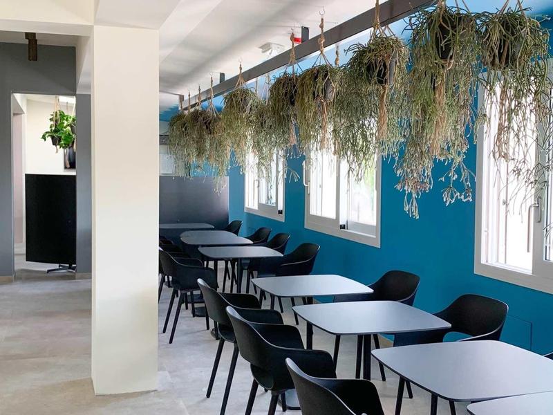 Moderner Essbereich mit blauen Wänden, weißen Tischen, schwarzen Stühlen und hängenden Pflanzen.