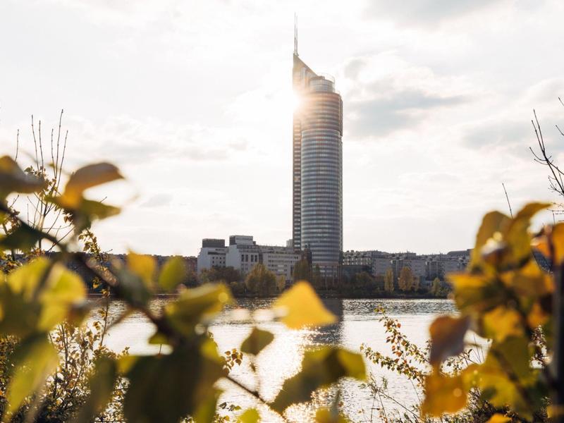 Vista de un rascacielos alto con luz solar de fondo y hojas en primer plano junto al río.